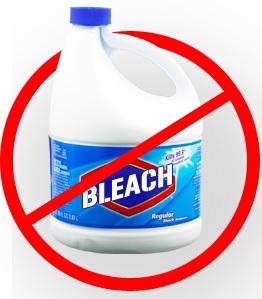 Don't use bleach to kill mold