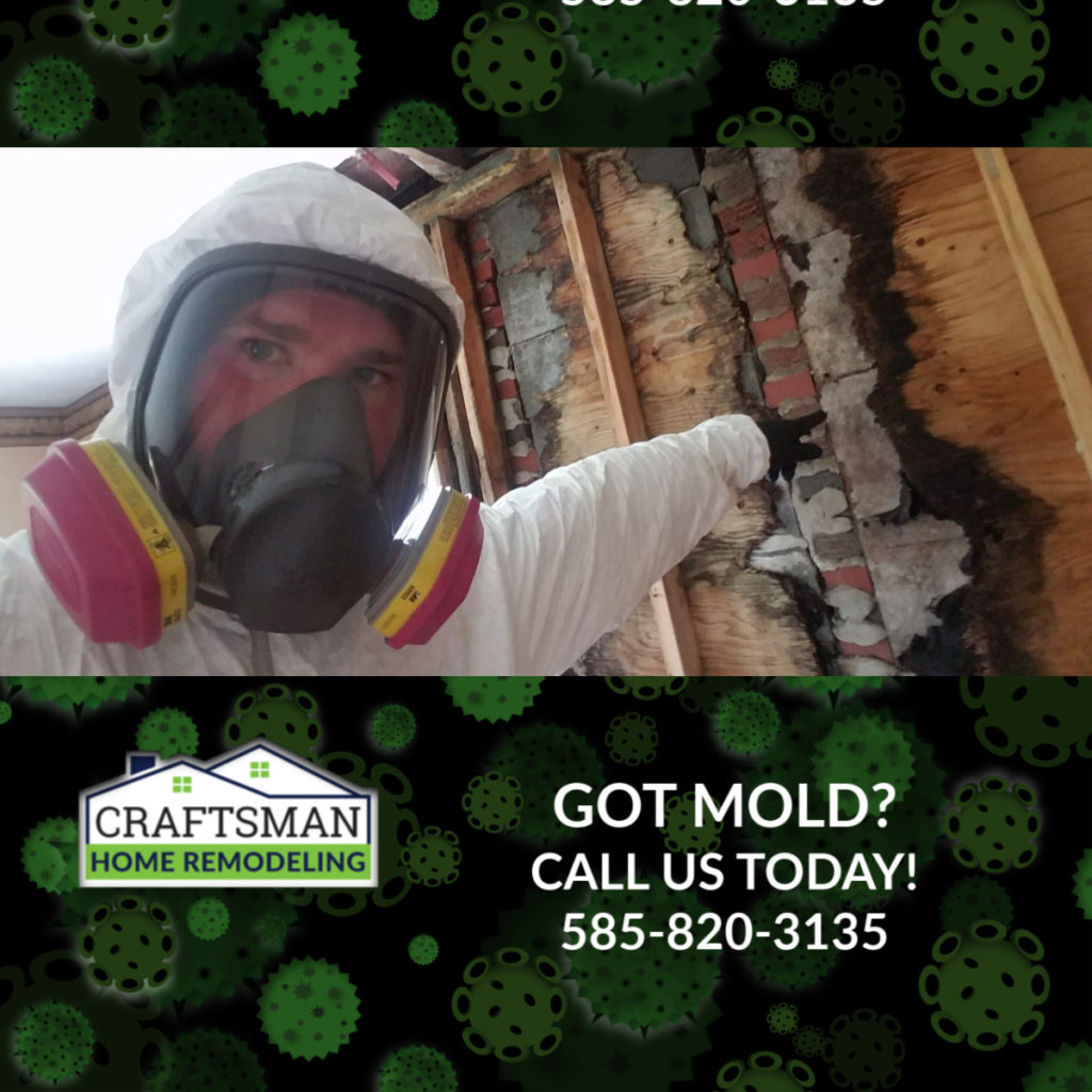 Mold in your wall