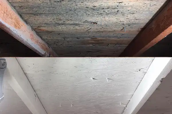 Mold before and after